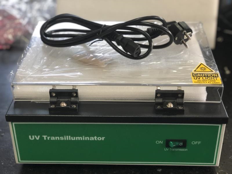 Transilluminateur UV