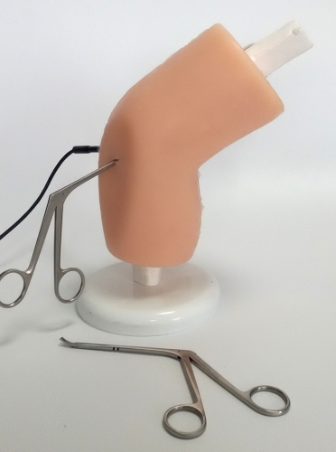 Simulator for arthroscope, knee model