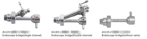 Endoscope bridge