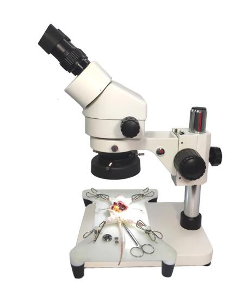 Microsurgery training simulator of neurosurgery