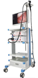 Video Gastroscope +Video Colonoscope System