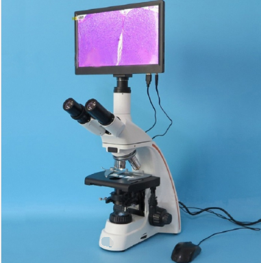 Microscope biologique trinoculaire à l'infini avec écran tactile de 12 pouces, modèle CE (champ lumineux)