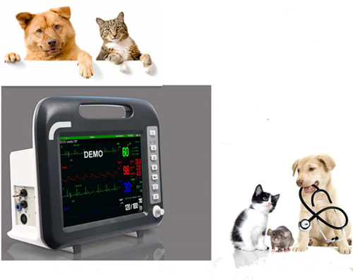 12.1inch Veterinary Patient Monitor