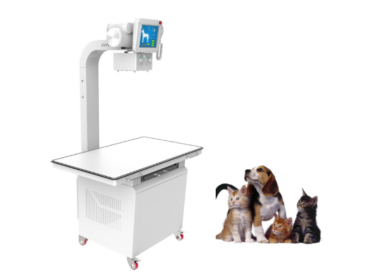 400mA veterinary X-ray machine/DR