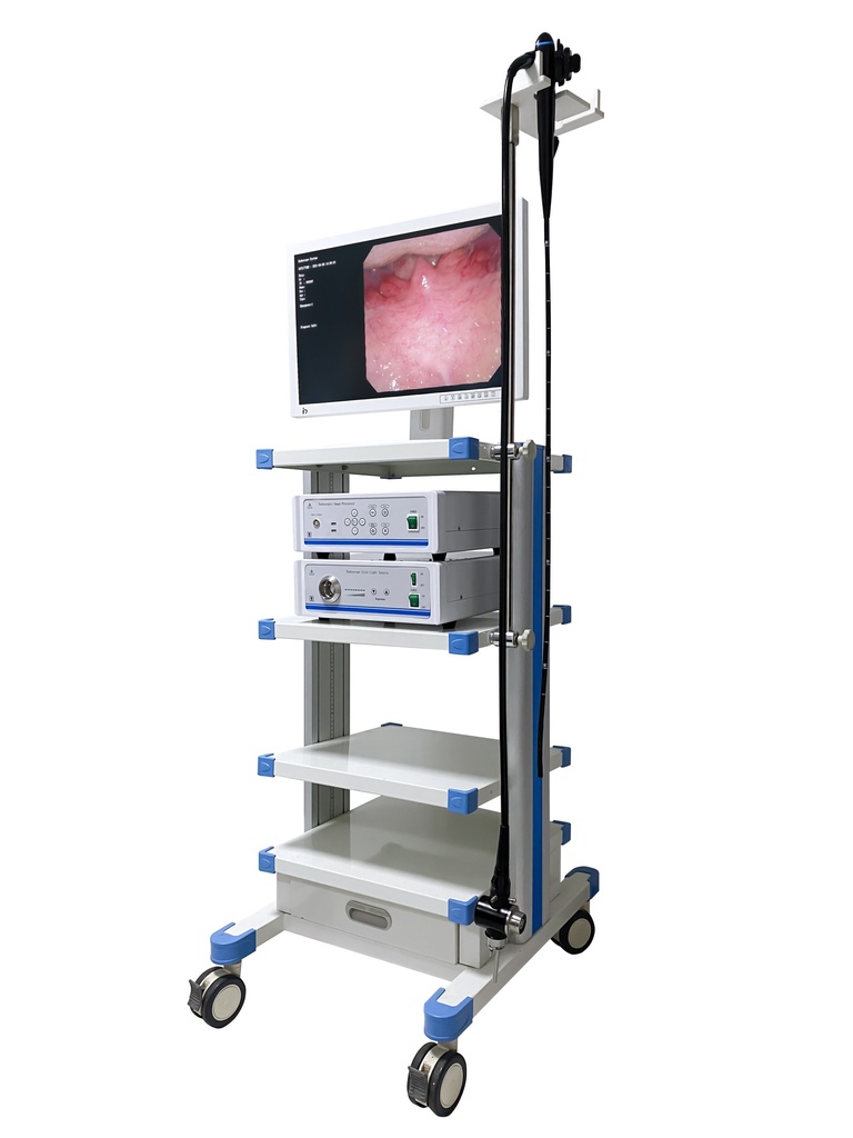 Video Gastroscope System(Video Gastroscope+Medical Monitor+Light Source+Video Image Processor+Trolley)