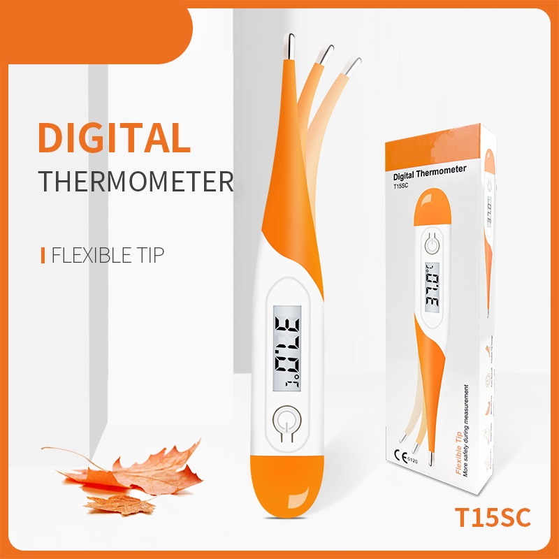 Digital Thermometer