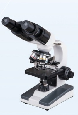 Binocular Microscope 