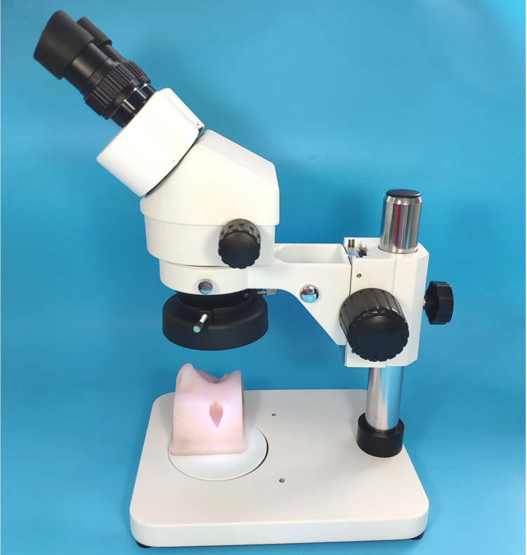 Microsurgery training simulator of Ophthalmology