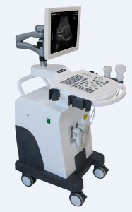 BW Ultrasonic Imaging System