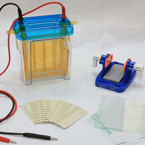 Electrophoresis Cell Tank