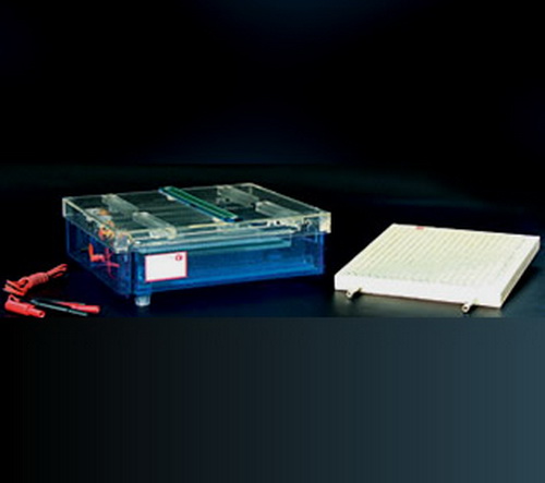 Electrophoresis Cell Tank