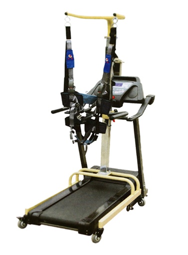 [CCRZB2] Electric Gait Suspension System with treadmill