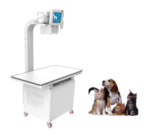 [CCVD20-1] Equipo de radiografía veterinaria 320mA / DR