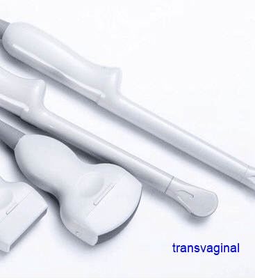 [CCB-51353T-TR Probe] Sonde transvaginale