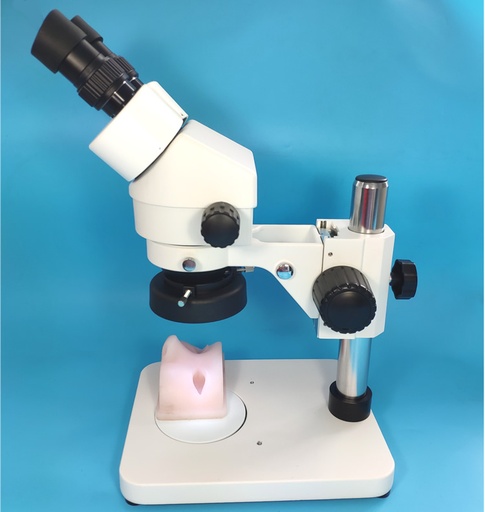 [CCL-955] Simulador de entrenamiento de microcirugía de neurocirugía