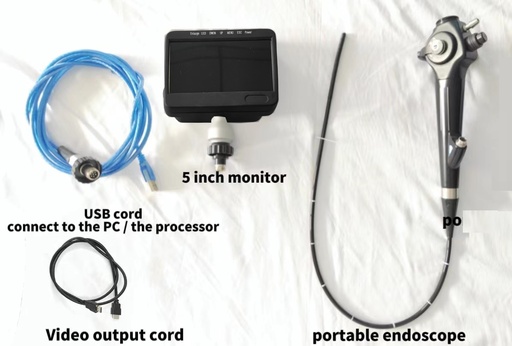 [CC23100801] Bronchoscope vidéo portable