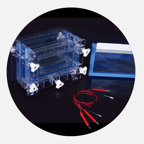 [CCL-DYCZ30C] Electrophoresis Cell Tank